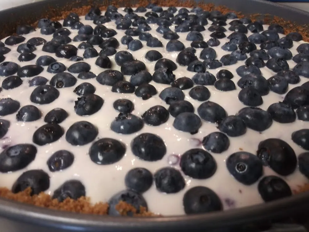 Blueberry Cheese Cake